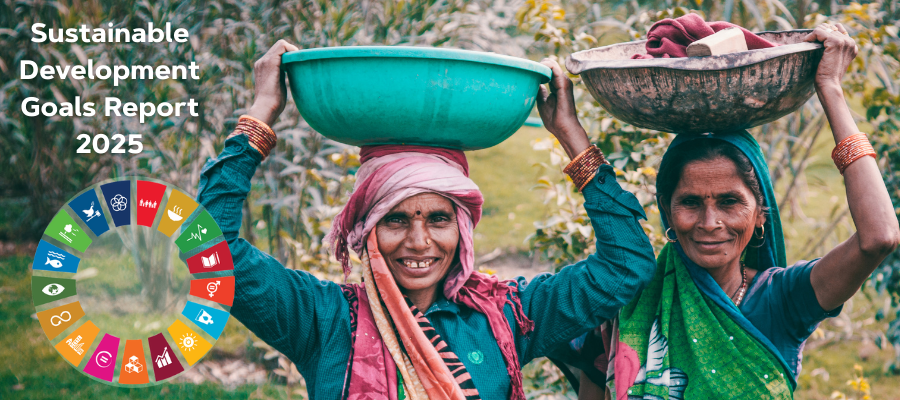 SDG Report 2025
