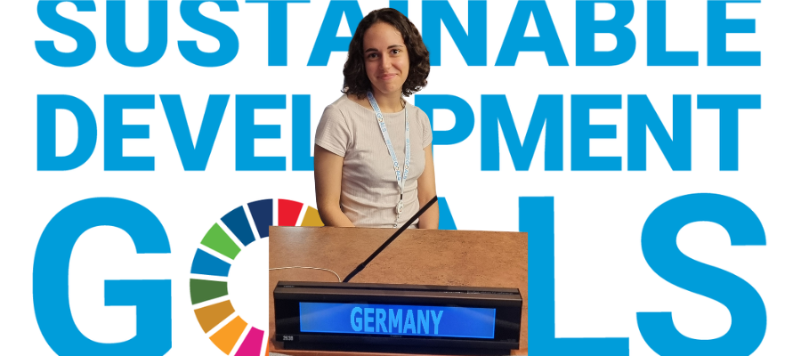 What would SDGs_Lili